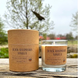 Black Raspberry Vanilla 10 oz Jar Candle