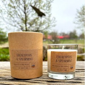 Eucalyptus & Spearmint 10 oz Jar Candle